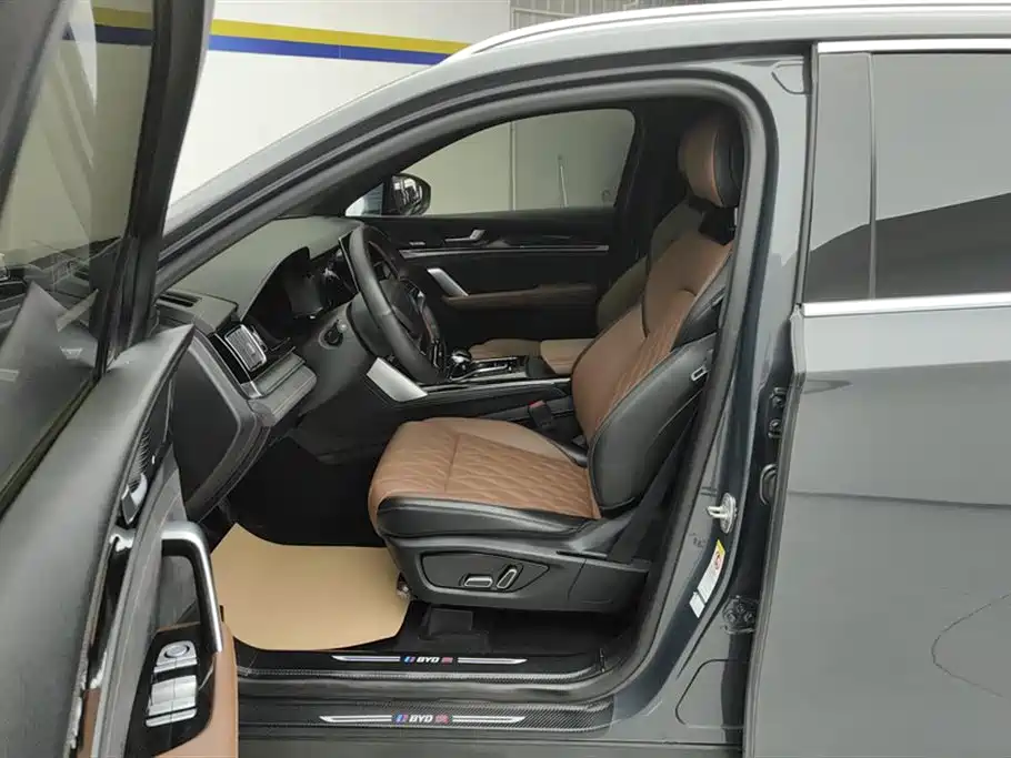 BYD Tang New Energy 2021 DM-i 112KM Premium фото 9
