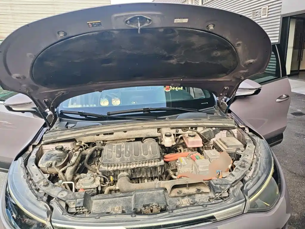 Denza X 2020 2020 Model PHEV Flagship Edition