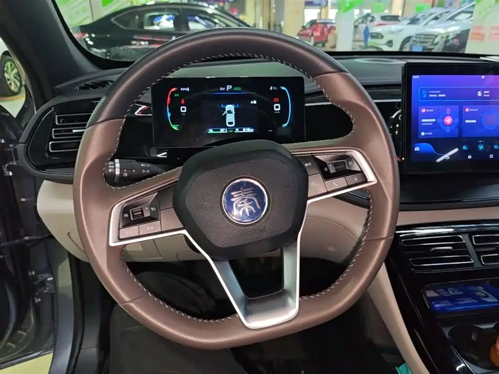 BYD Qin PLUS 2023 Champion Edition DM-i 55KM Leading фото 10