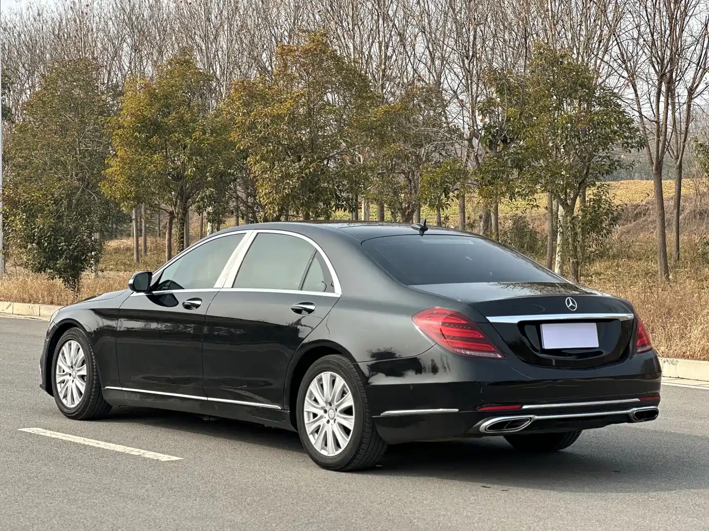 Mercedes-Benz S-Class 2014 S 320 L Business фото 7