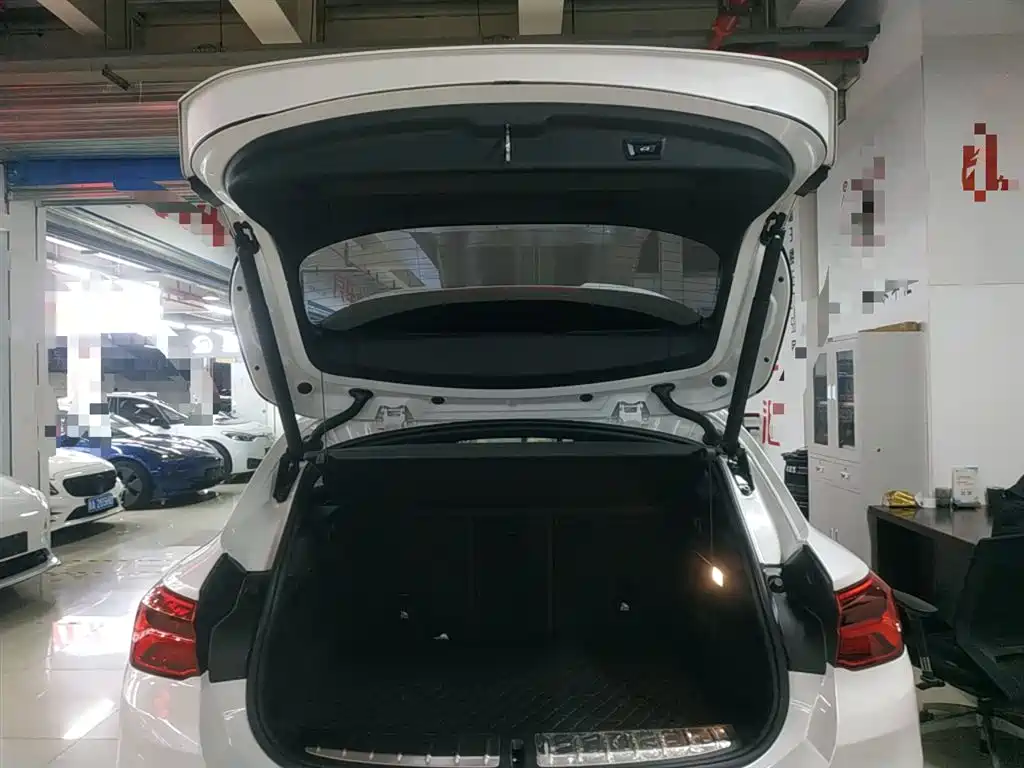 BMW X2 2020 sDrive25i Premium M Off-Road Package фото 15