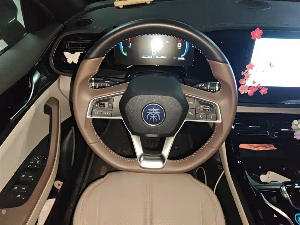 BYD Qin PLUS 2024 Glory Edition DM-i 55KM Leading фото 3