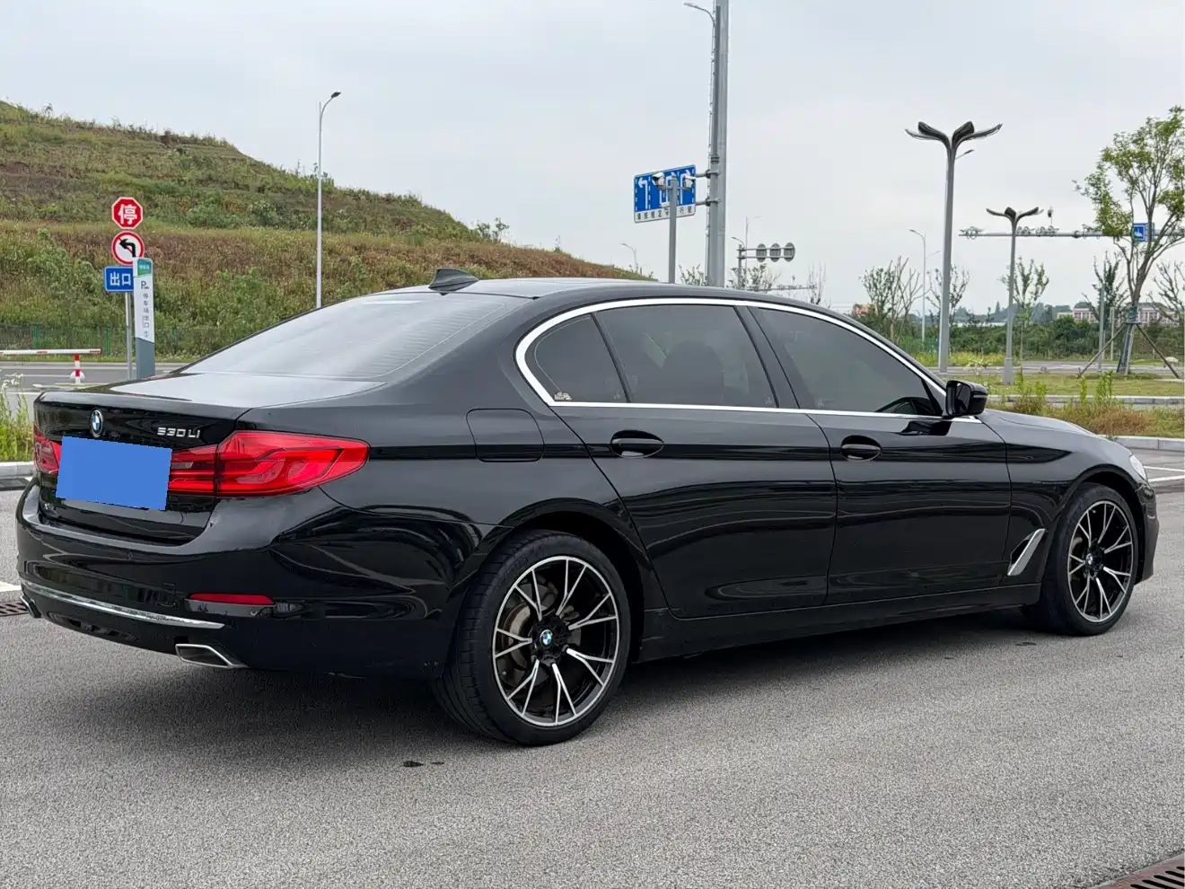 BMW 5 Series 2020 530Li Leading Luxury Package фото 4