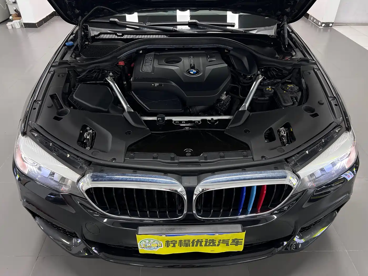 BMW 5 Series 2020 525Li M Sport Package фото 12