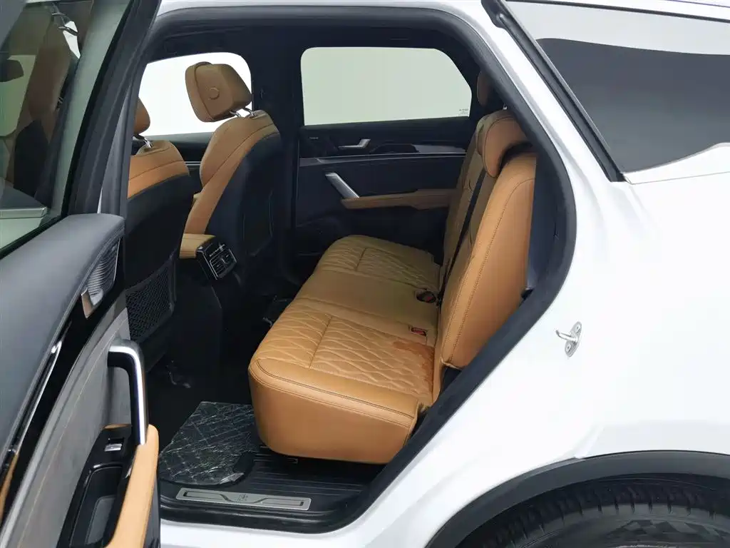 BYD Tang New Energy 2023 Model DM-i Champion Edition 112KM Premium фото 15