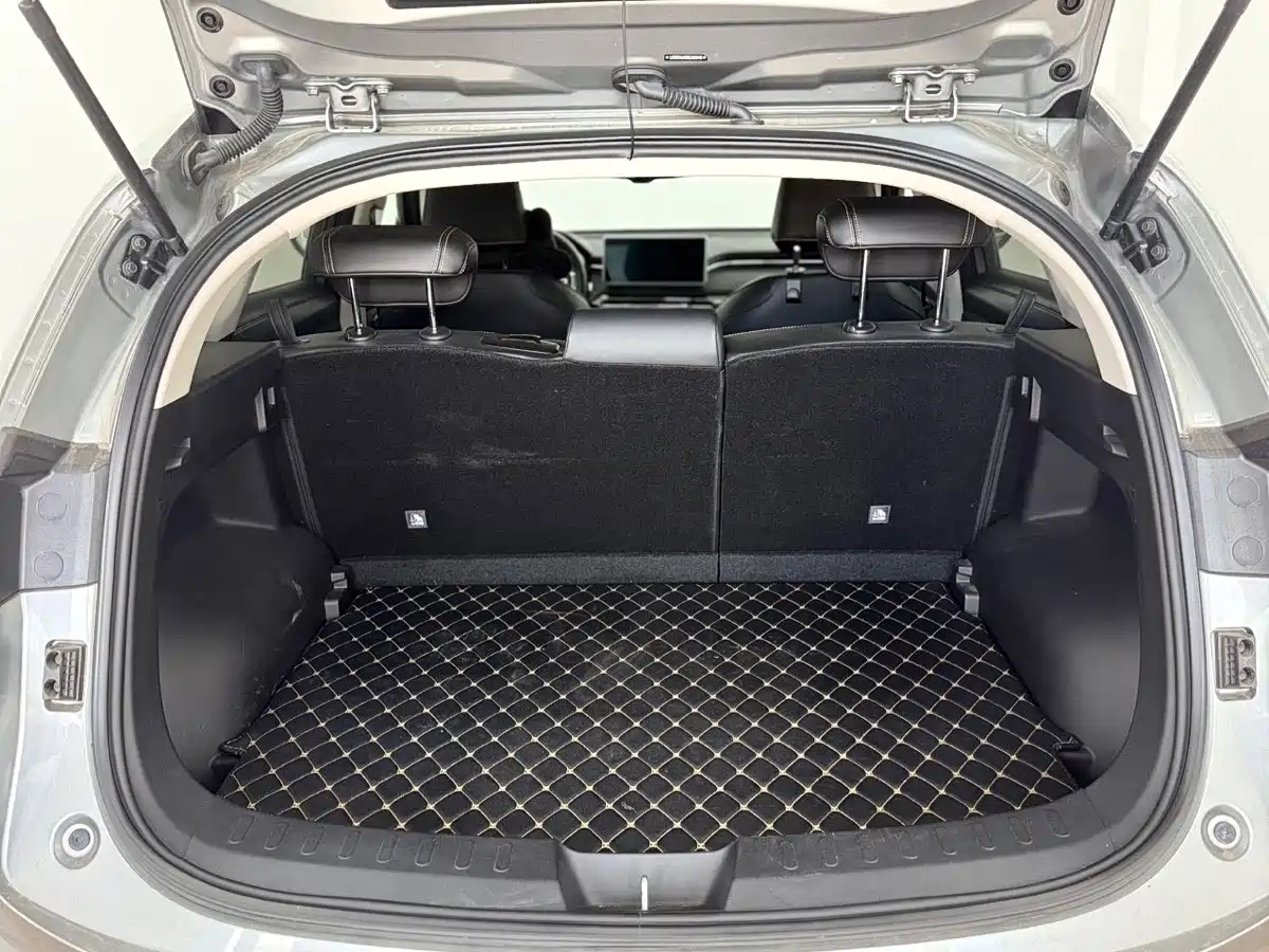Haval Chitu 2023 2022 Power Edition 1.5T Purple Copper Rabbit