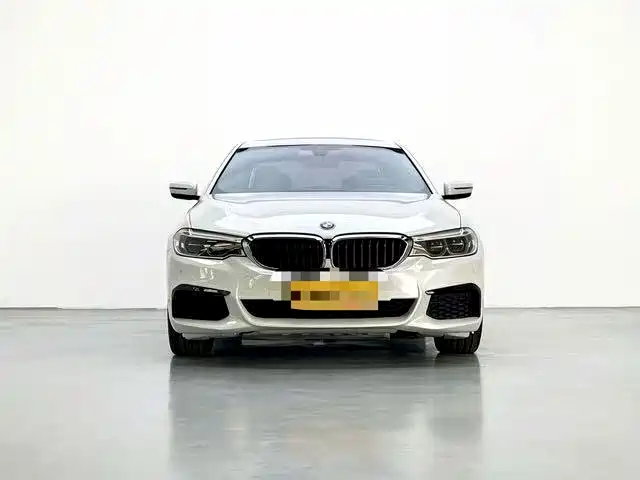 BMW 5 Series 2020 530Li Leading M Sport Package фото 2