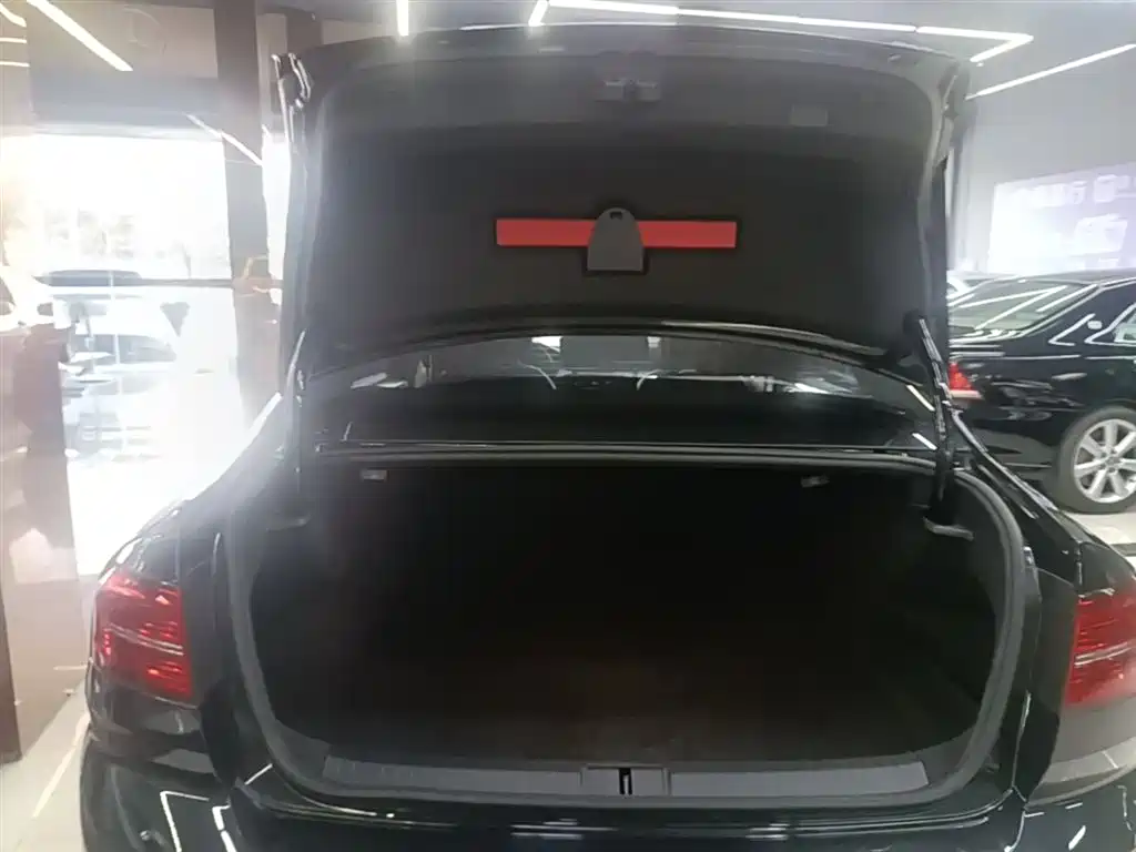 Volkswagen Magotan 2018 280TSI DSG Leading фото 19