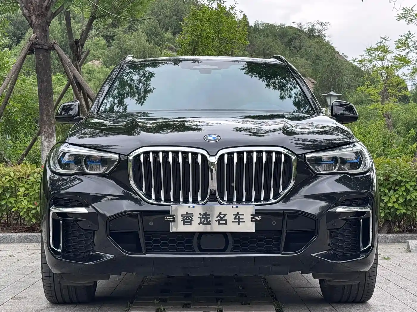 BMW X5 2022 xDrive 40Li Premium M Sport Package фото 2