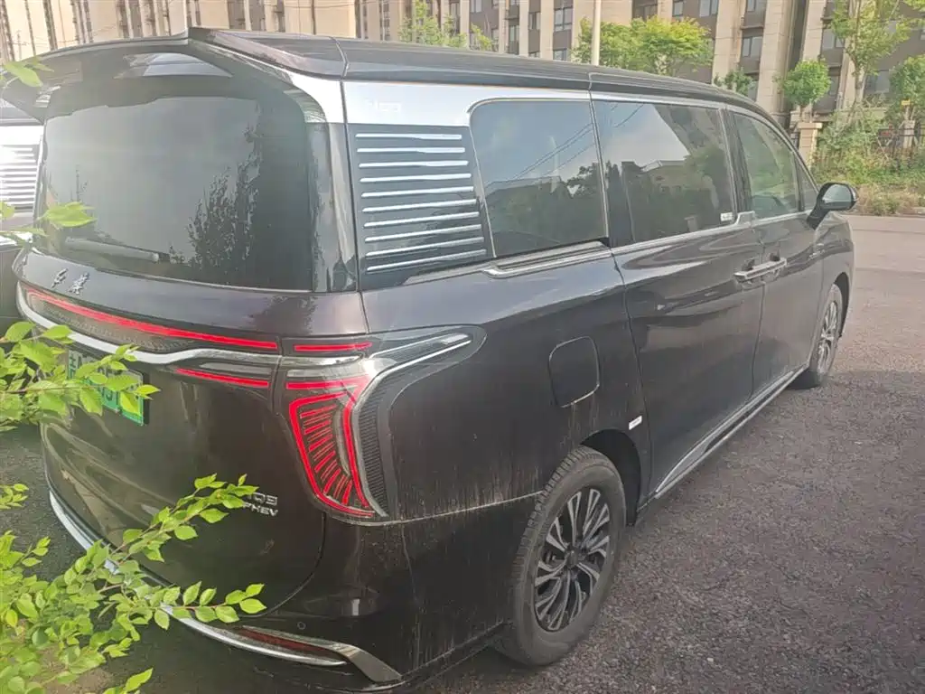 Hongqi HQ9 PHEV 2024 Model 2.0T AWD Business Edition фото 7