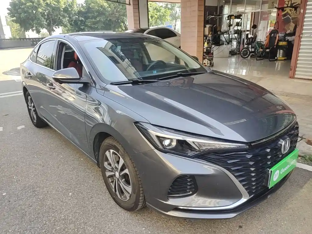 Фото 4 - Changan Eado