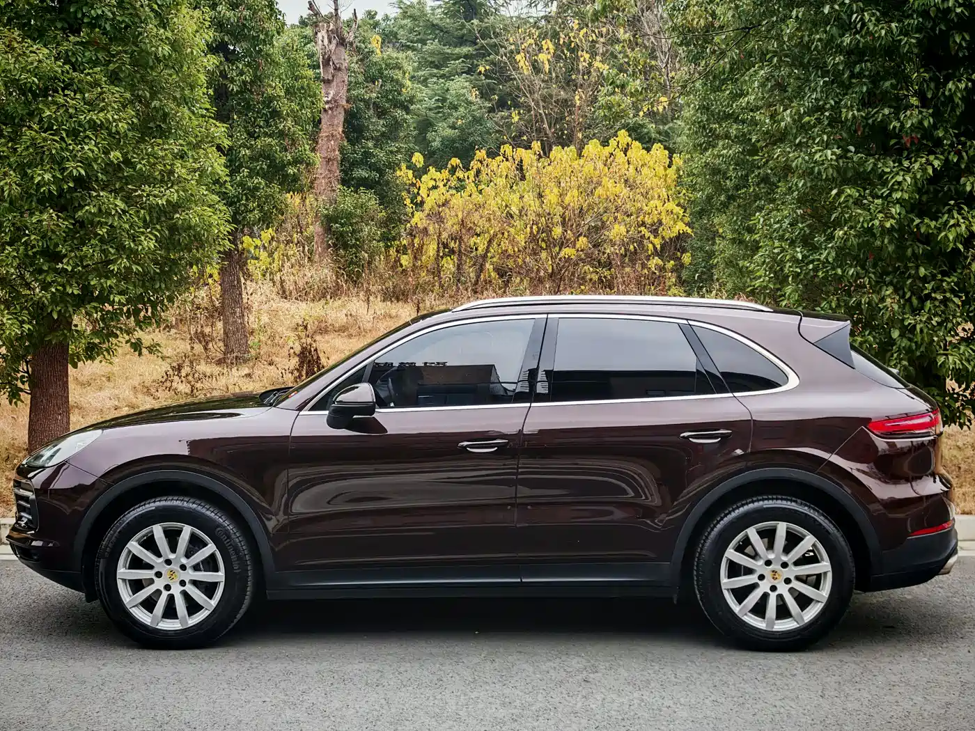 Porsche Cayenne 2018 Cayenne 3.0T фото 2