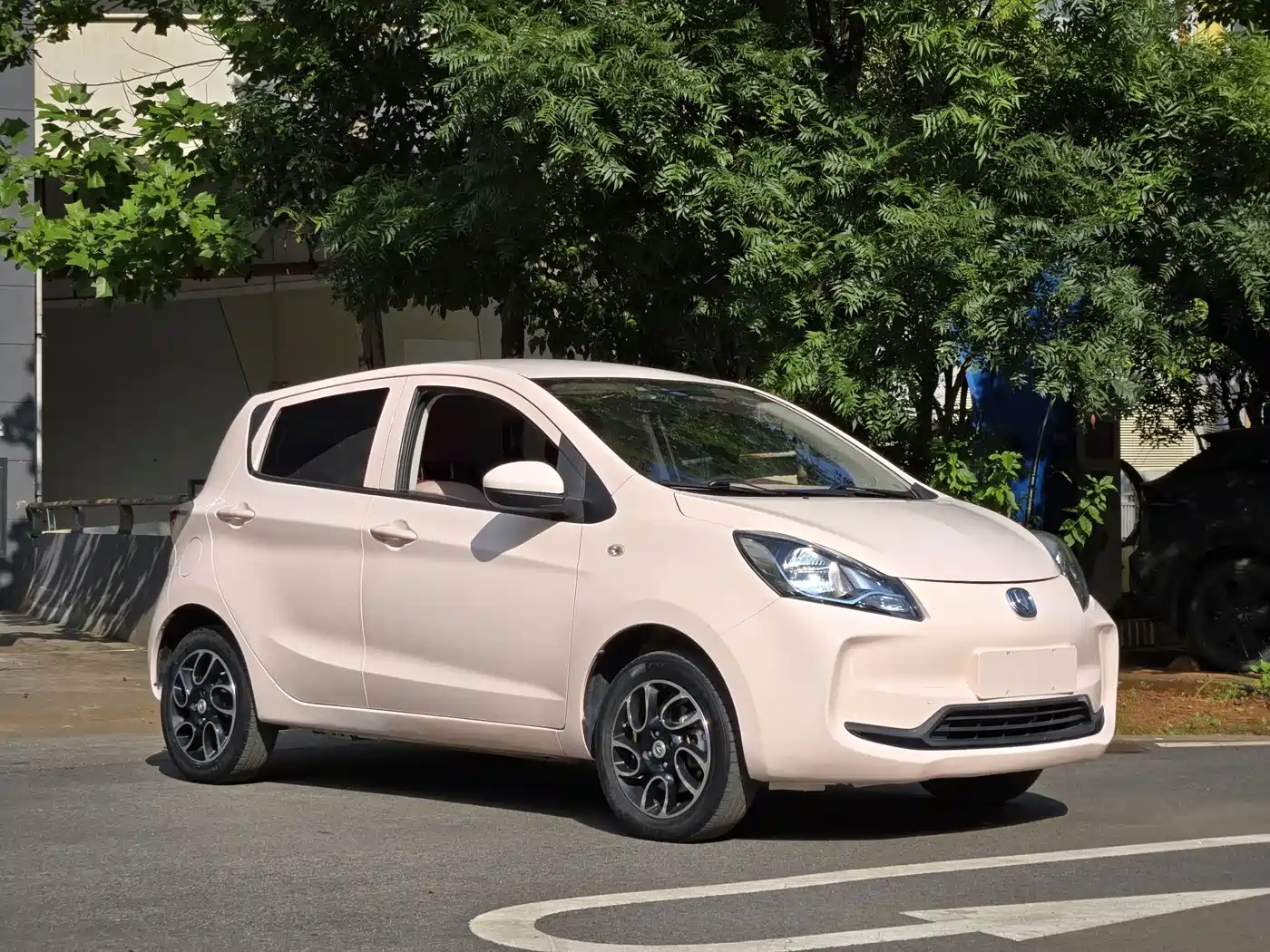Changan Benben E-Star 2022 2021 National Edition Colorful Version LFP (31.86kWh)