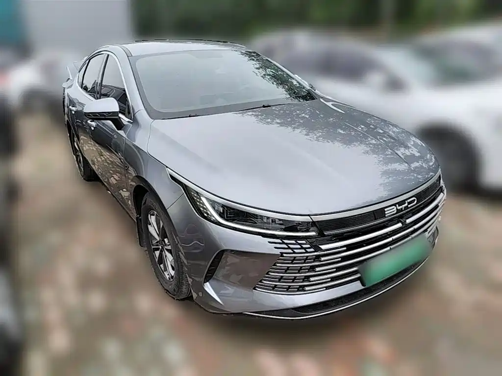 BYD Destroyer 05 2024 Glory Edition DM-i 55KM Luxury фото 7