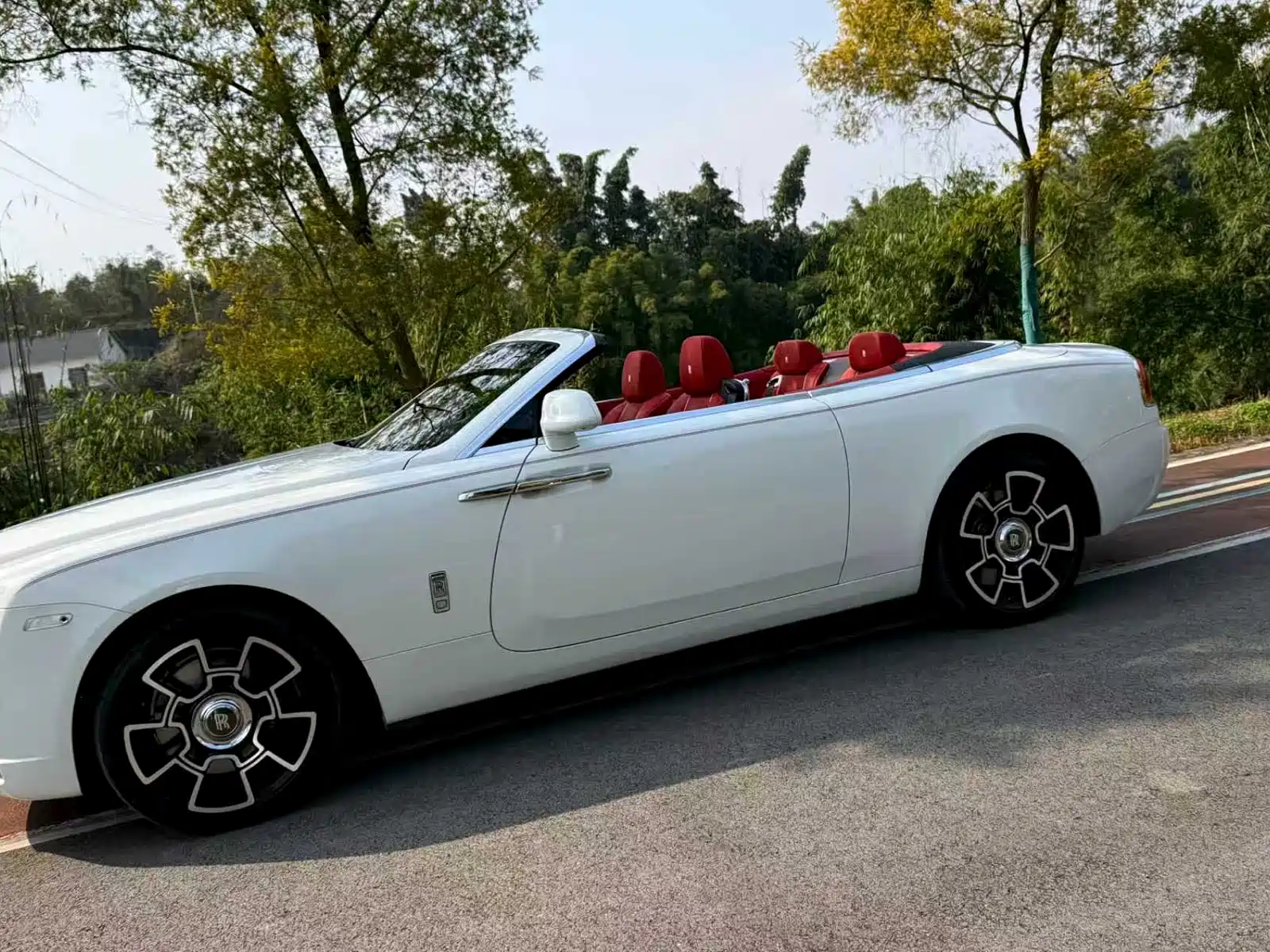 Фото 6 - Rolls-Royce Dawn