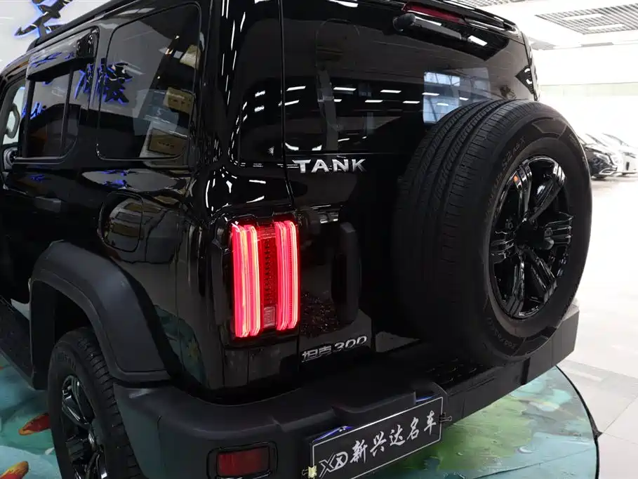 Tank 300 2023 Off-Road Edition 2.0T Conqueror фото 26