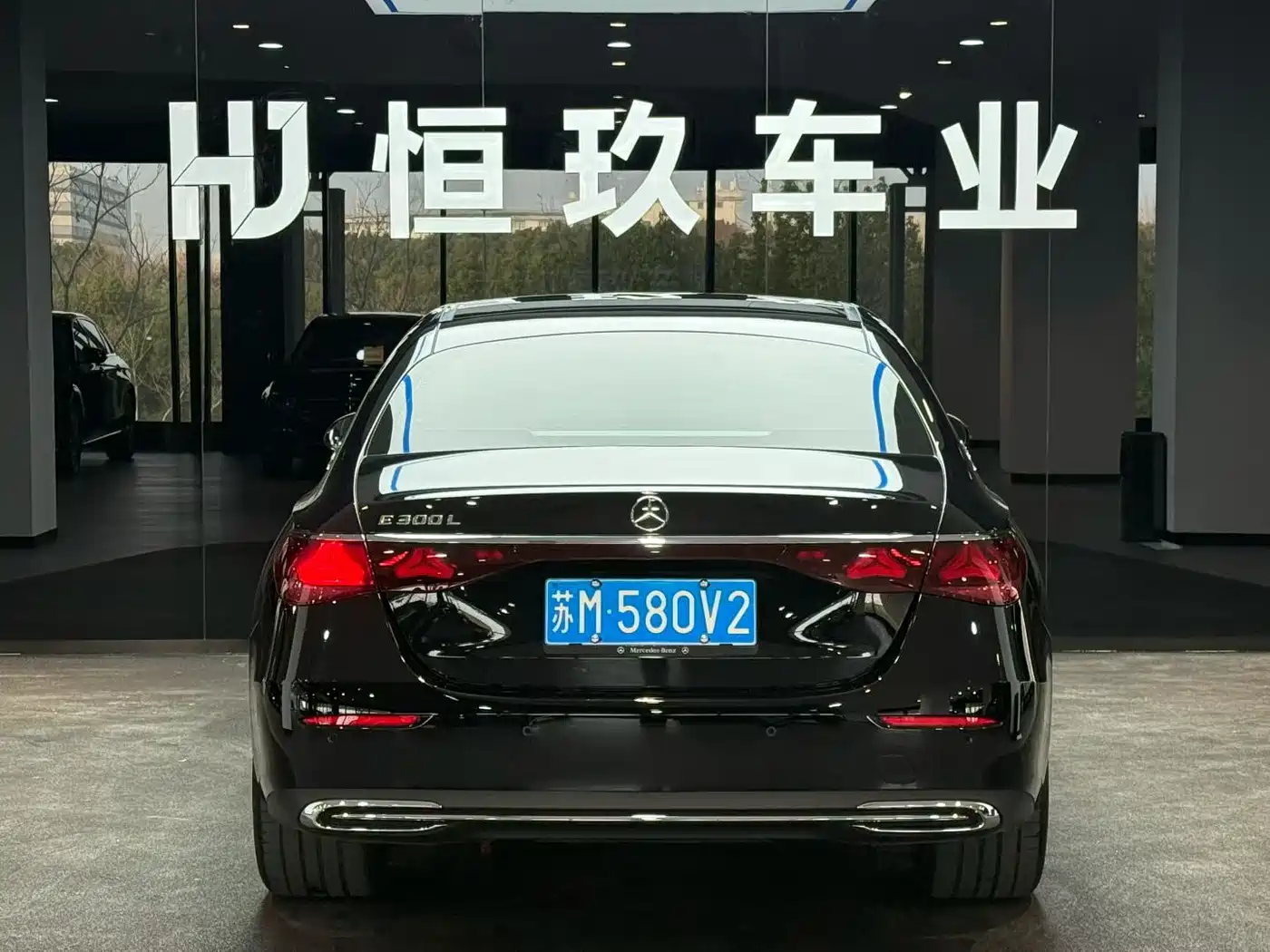 Mercedes-Benz E-Class 2024 E 300 L Fashion фото 3