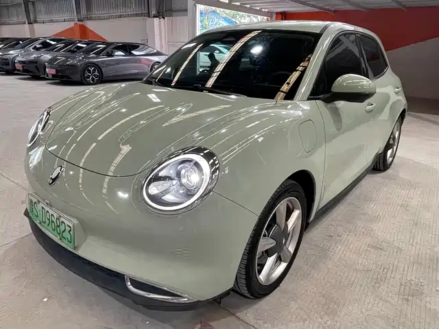  Ora Ora Good Cat 2023 401km Standard Range Luxury LFP