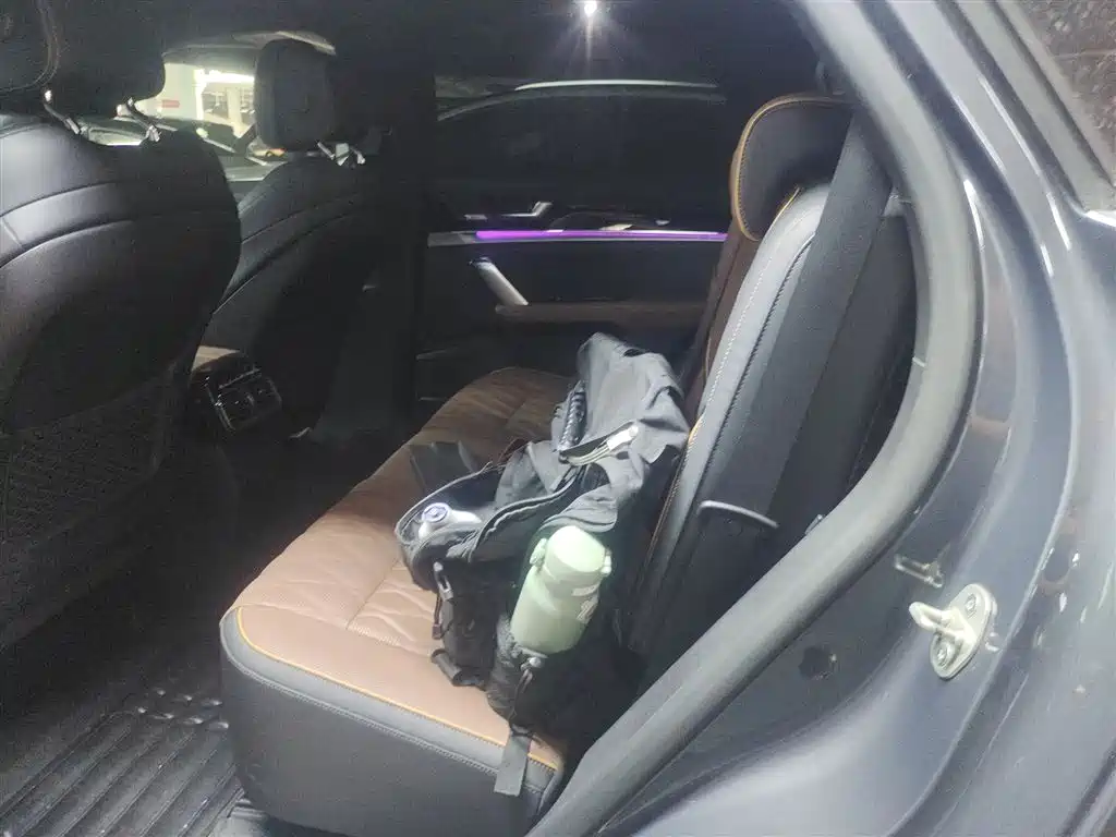 BYD Tang New Energy 2021 DM-i 112KM Premium фото 17