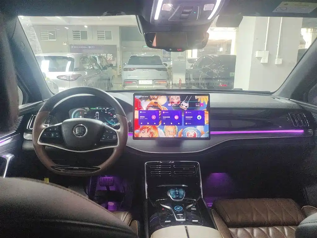 BYD Tang New Energy 2021 DM-i 112KM Premium фото 10