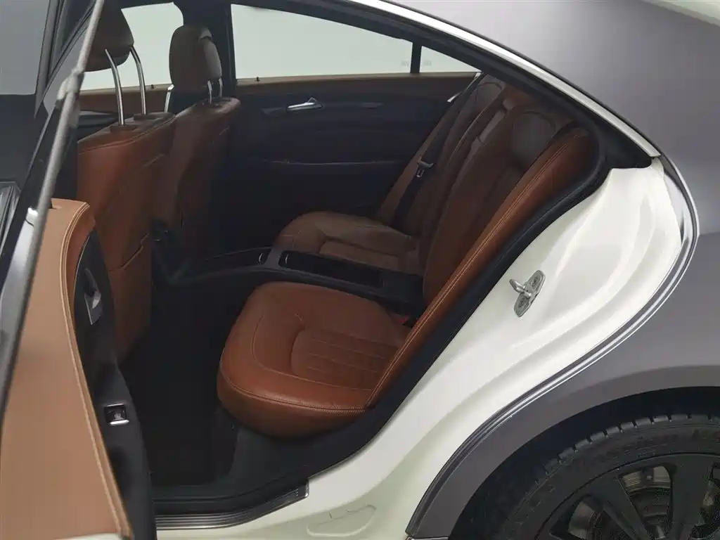 Mercedes-Benz CLS 2015 CLS 320 фото 15