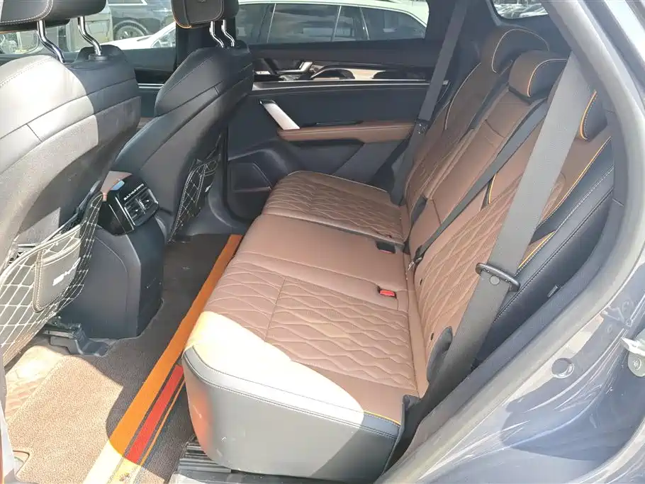 BYD Tang New Energy 2021 DM-i 112KM Honor фото 11