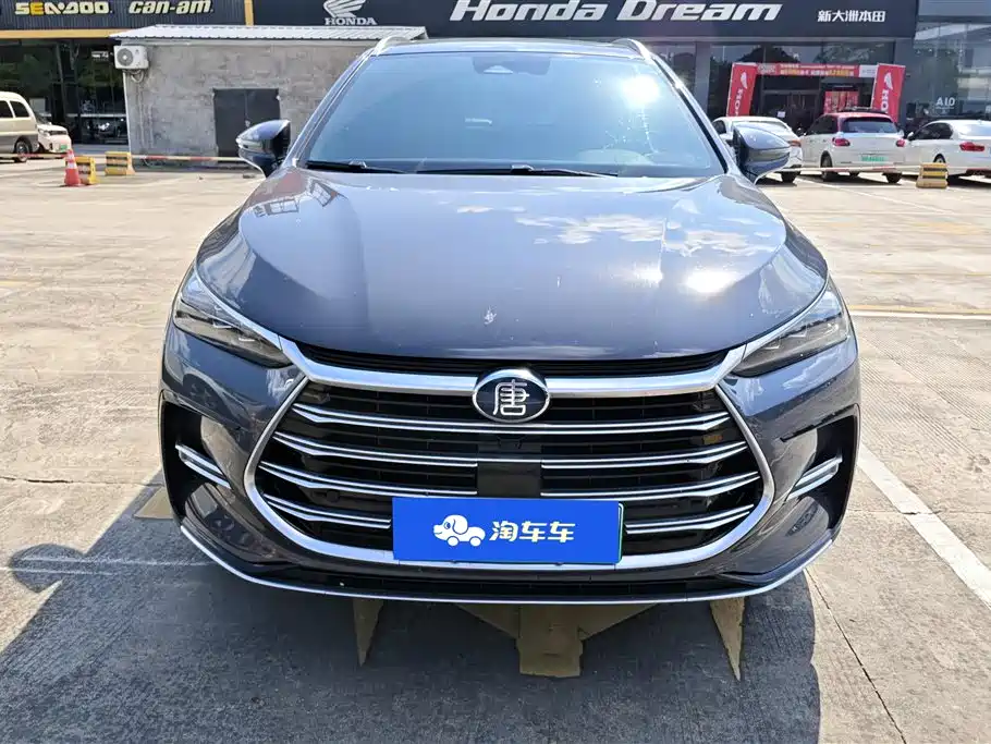 BYD Tang New Energy 2021 DM-i 112KM Honor фото 2
