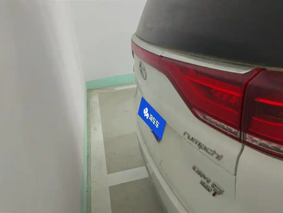 GAC Trumpchi Trumpchi M8 2018 320T Exclusive Edition фото 4