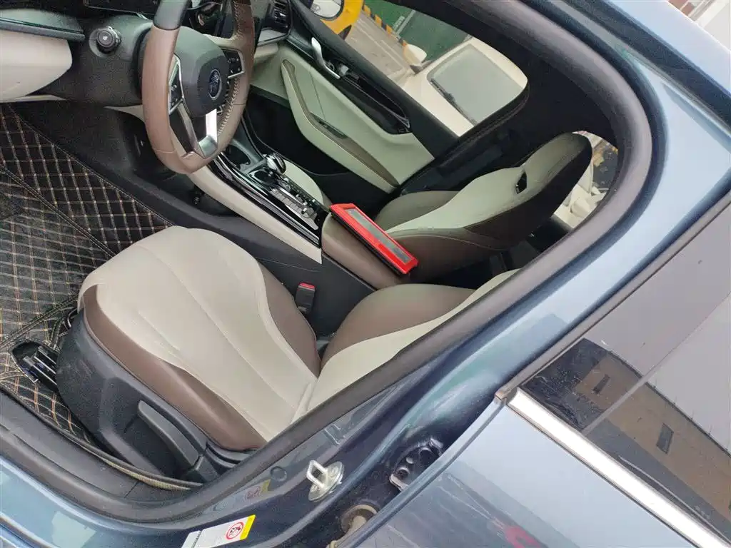 BYD Qin PLUS 2024 Glory Edition DM-i 55KM Leading фото 12