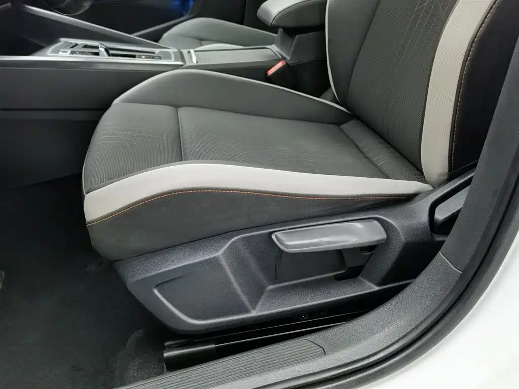 Volkswagen Golf 2021 280TSI DSG 30th Anniversary Edition фото 20
