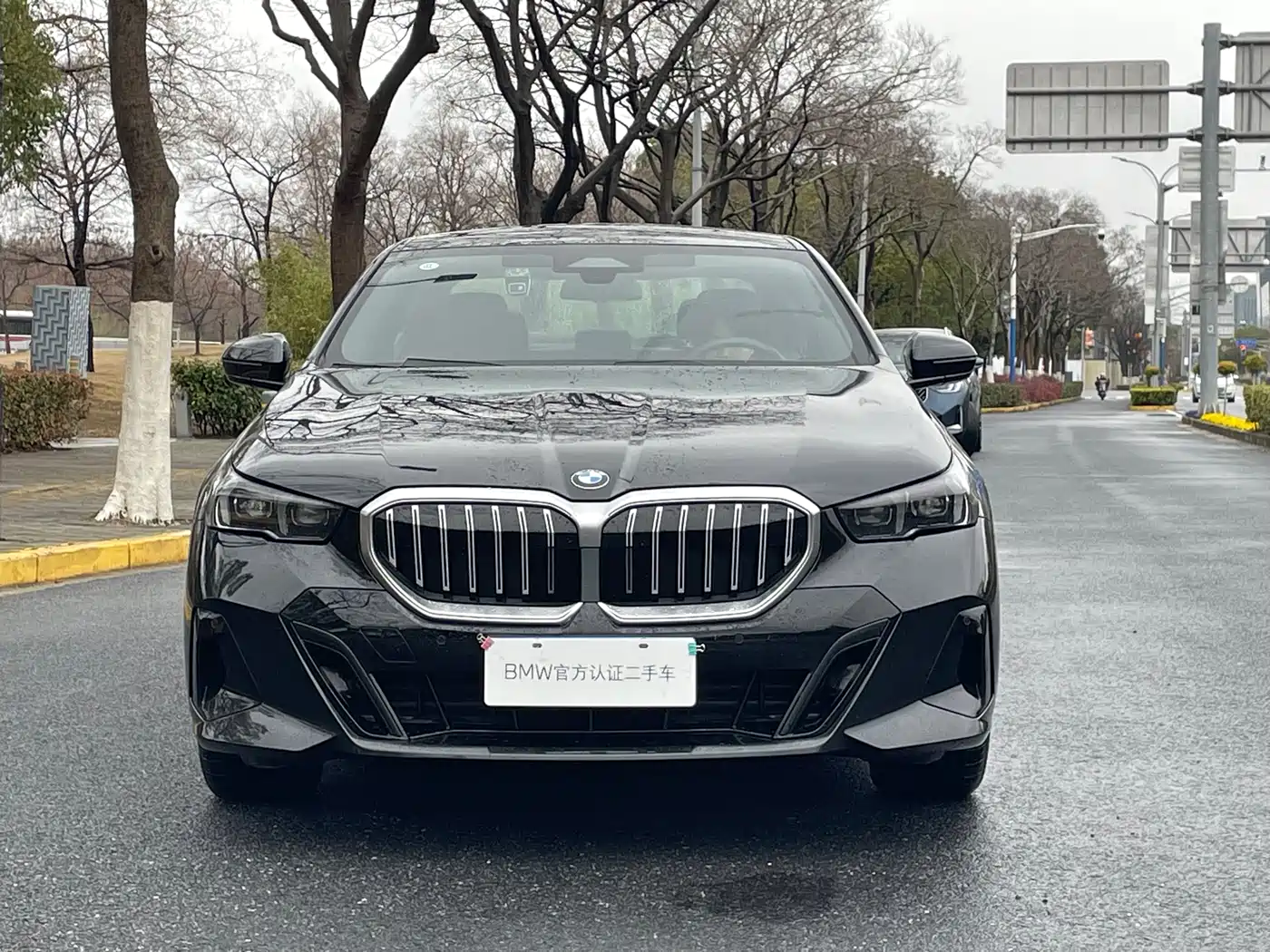 BMW 5 Series (Import) 2024 530i Leading Model M Sport Package фото 2