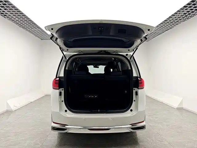GAC Trumpchi Trumpchi M8 2024 Leadershow Series 390T Luxury Edition фото 14