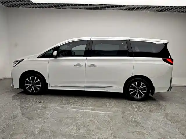 GAC Trumpchi Trumpchi M8 2024 Leadershow Series 390T Luxury Edition фото 13