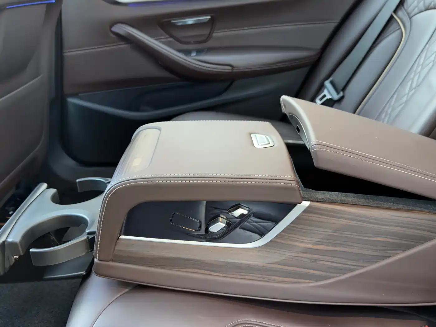BMW 5 Series 2018 Facelift 530Li Leading Luxury Package фото 22