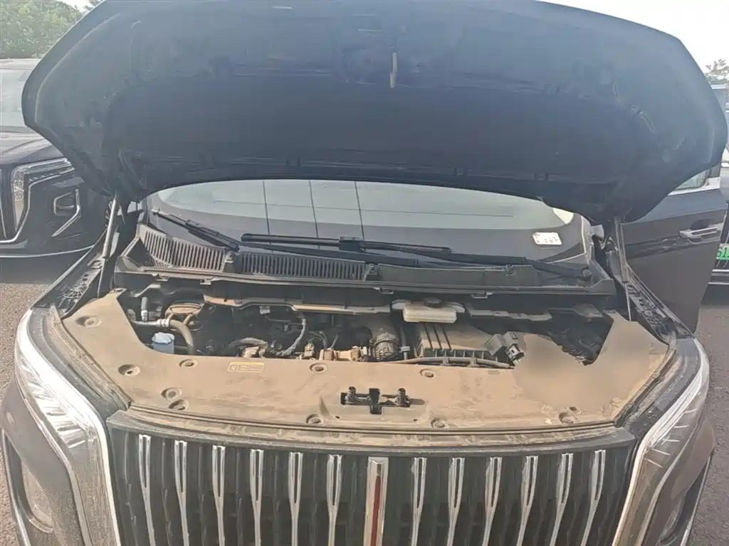 Hongqi HQ9 PHEV 2024 Model 2.0T AWD Business Edition фото 20