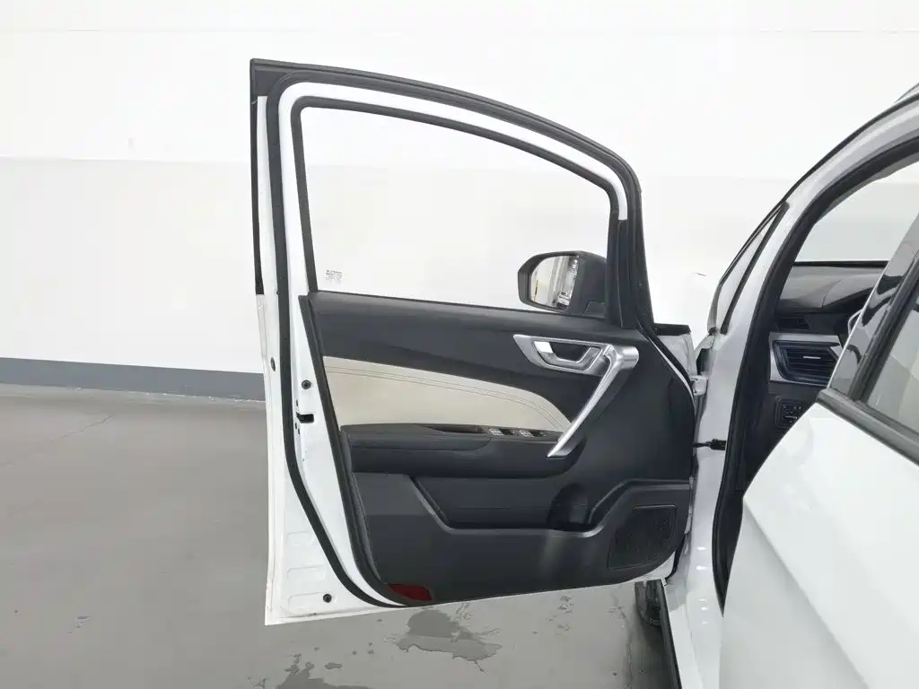 Ruilan Auto Maple 30X 2020 2020 Elegance Edition