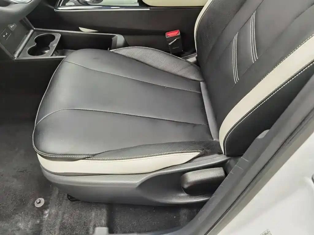 Geely Geometry E Firefly 2023 2023 401KM Linglong Tiger 5-Seater