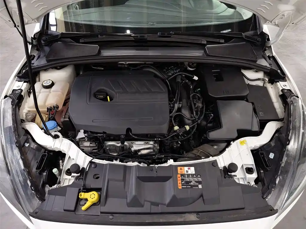 Ford Focus 2017 1.5T CTCC White-Black Limited Edition фото 6