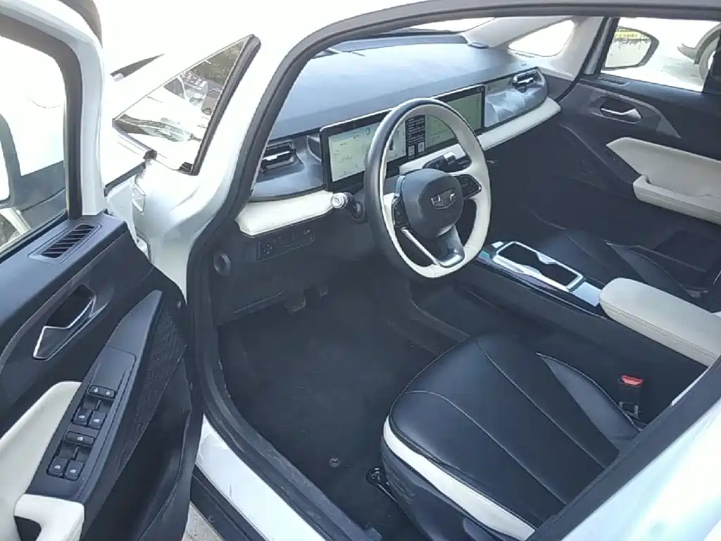 Geely Geometry E Firefly 2025 2024 Model 401km Fluorescent