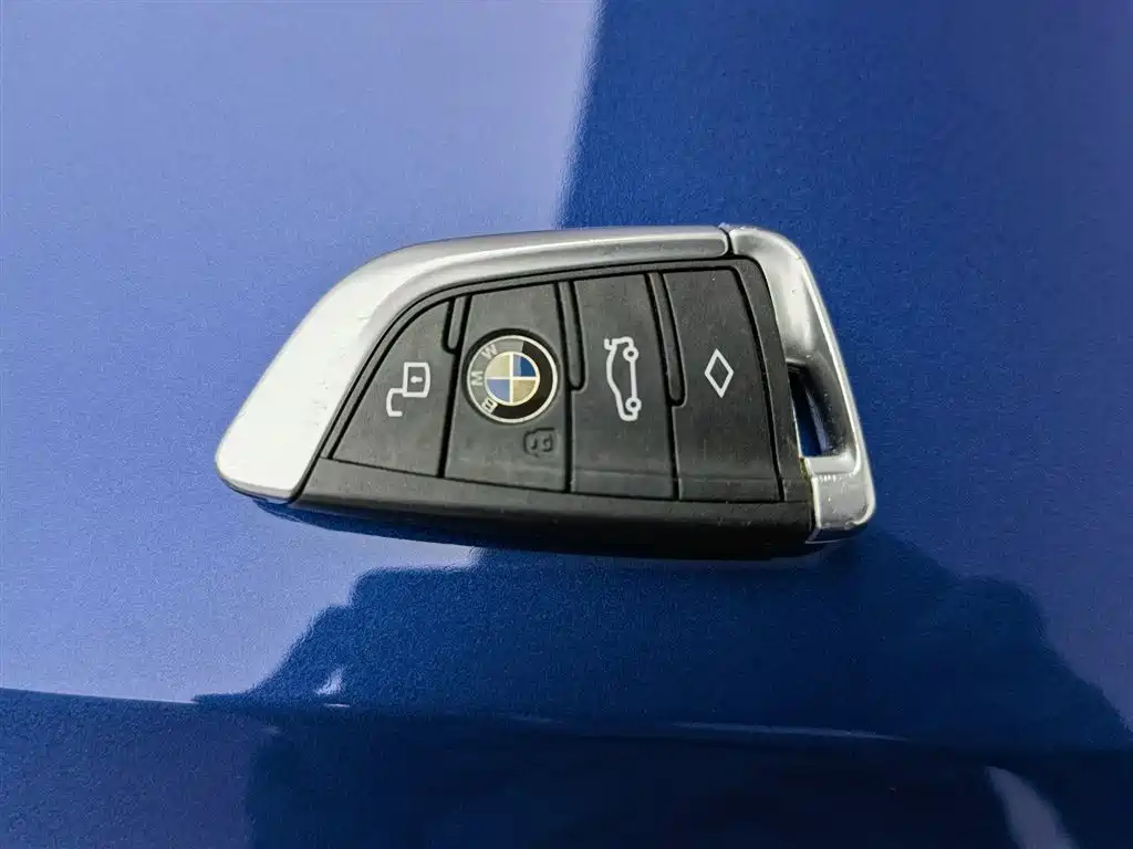 BMW 3 Series 2021 325Li M Sport Night Edition фото 19