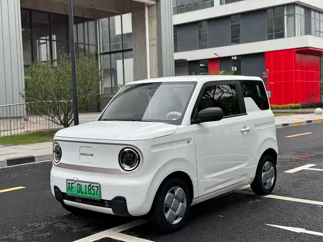 Geely Galaxy Panda 2023 Panda Mini 200km Endurance Bear