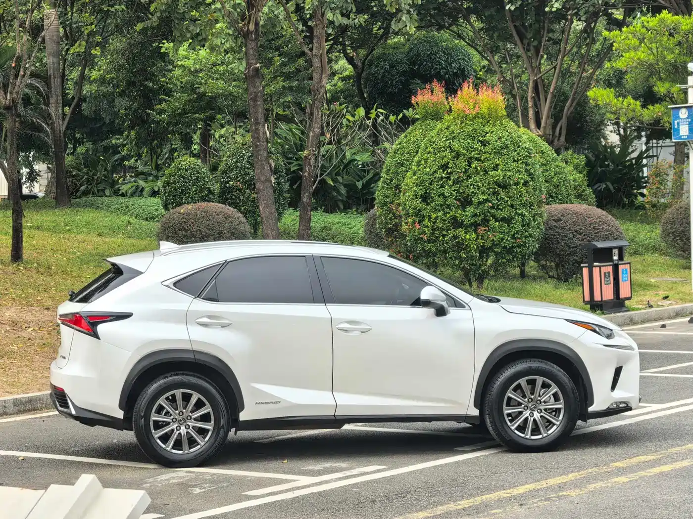 LEXUS NX