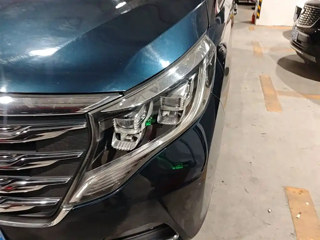 GAC Trumpchi Trumpchi M8 2019 320T Ultimate Edition фото 24