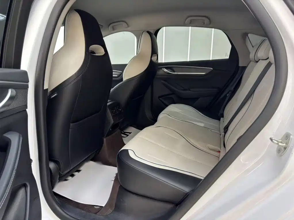 BYD Destroyer 05 2025 2024 Glory Edition DM-i 55KM Luxury