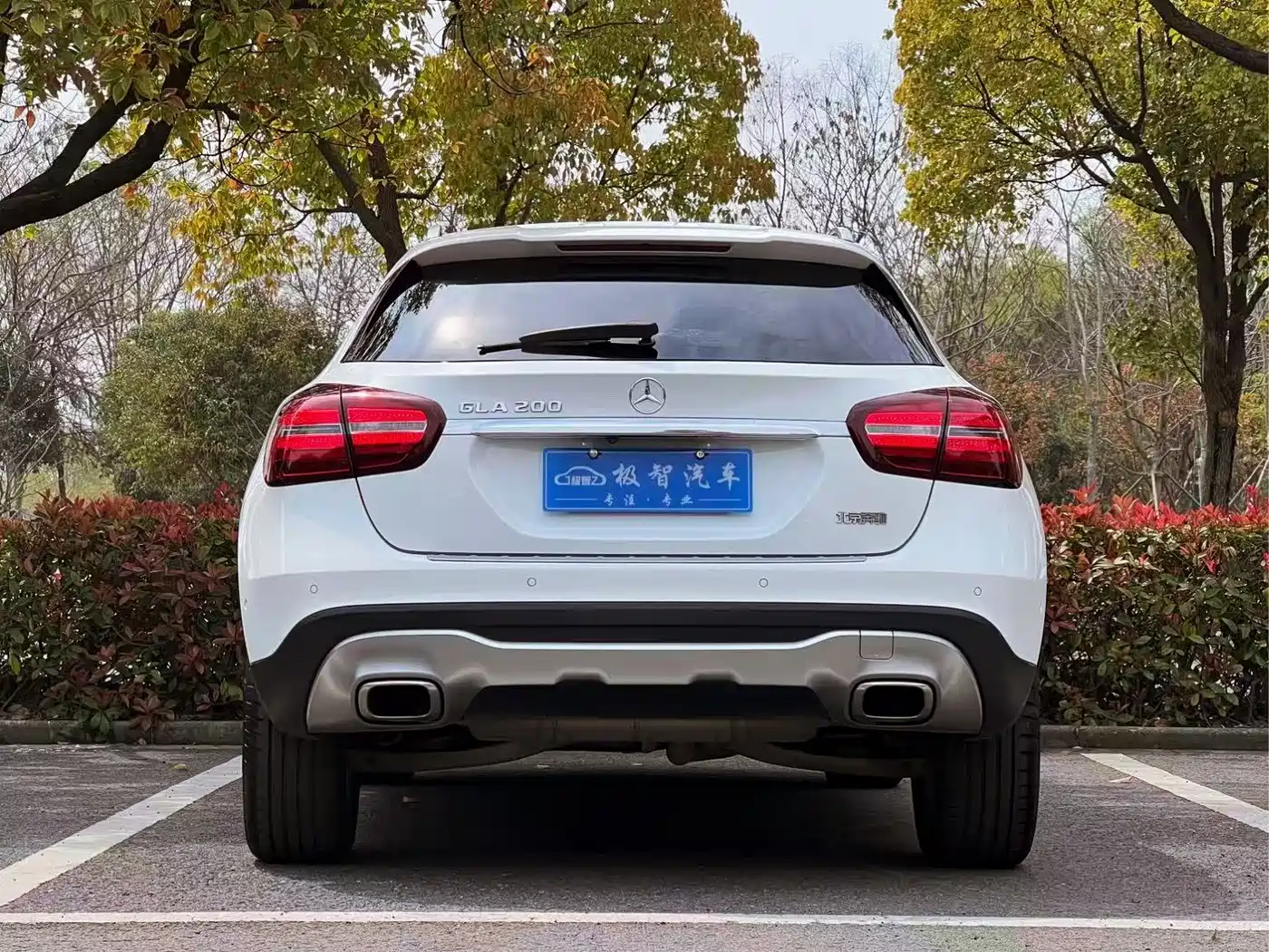 Mercedes-Benz GLA 2019 GLA 200 Dynamic фото 6