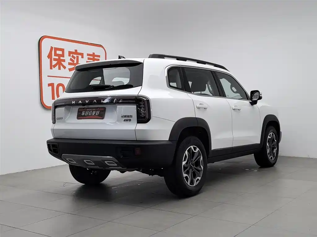 Haval Big Dog 2024 2.0T DCT Chinese Rural Dog Edition фото 2