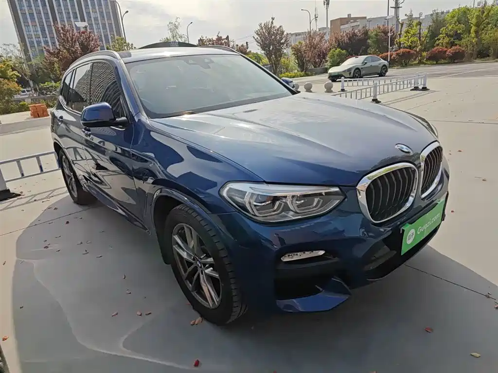 BMW X3 2018 xDrive25i M Sport Package China VI фото 4
