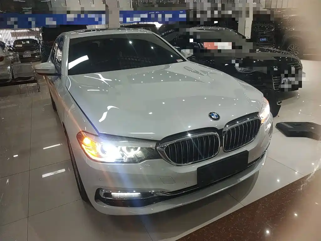 BMW 5 Series 2019 525Li Luxury Package фото 4