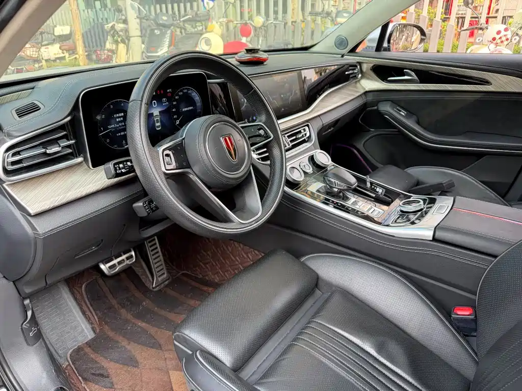 صورة 7 - Hongqi H9