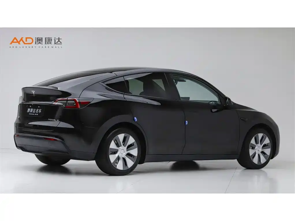 Tesla Model Y 2021 2021 Standard Range Rear-Wheel Drive
